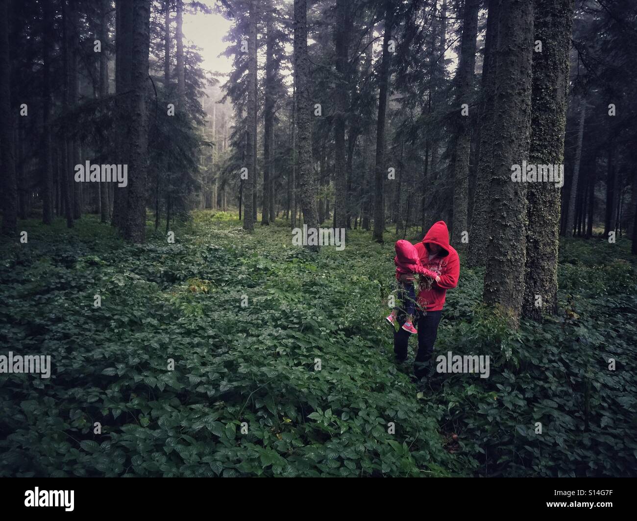 Father holding child in the woods, France - Smartphone Captured Stock Image