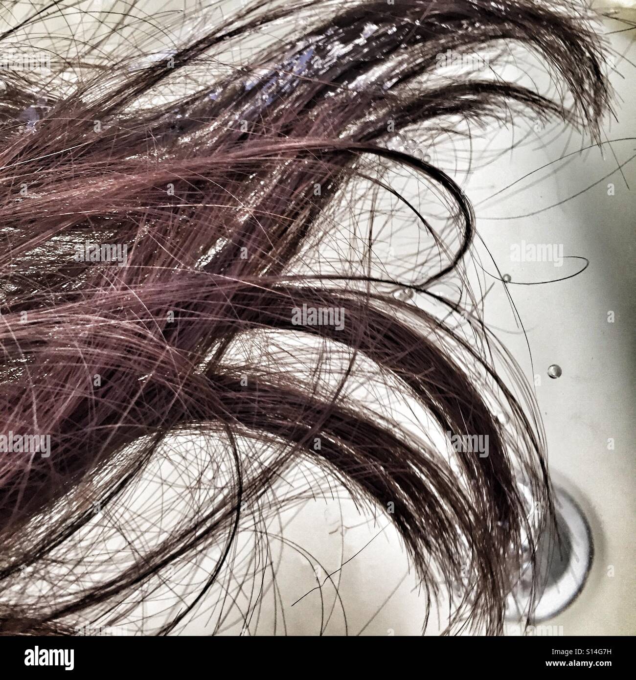 Hair floating on water Stock Photo Alamy