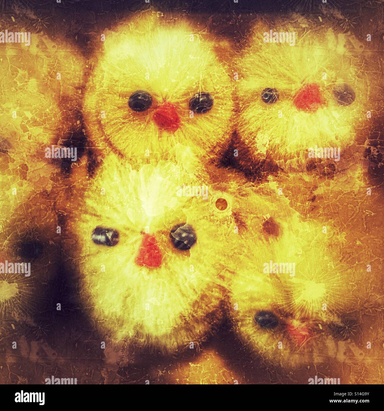 Easter chicks - Smartphone Captured Stock Image