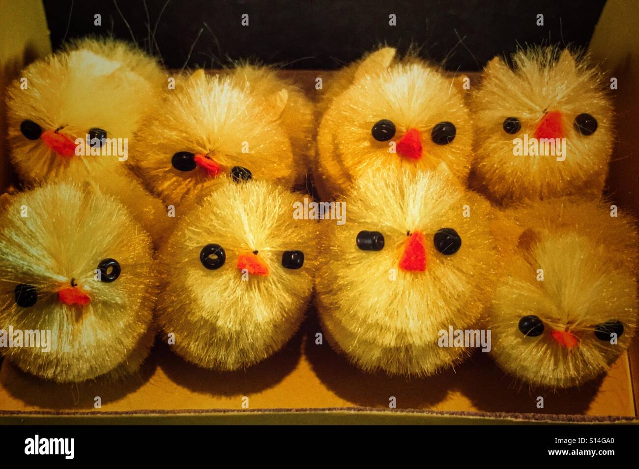 Box of 8 Easter chicks - Smartphone Captured Stock Image