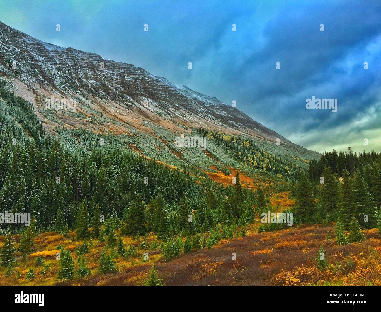 Fall colours in the high country and early snow Stock Photo
