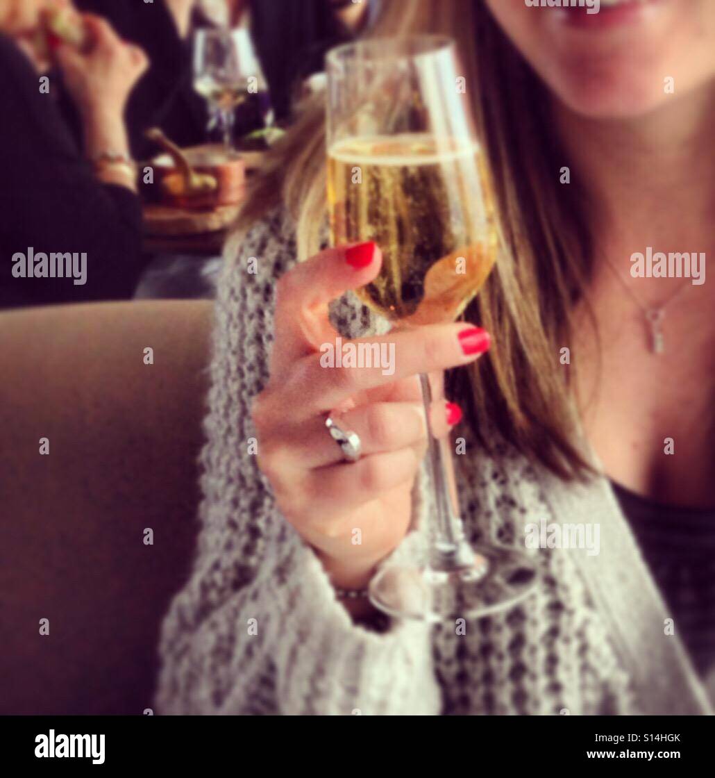 Girl toasting champagne Stock Photo Alamy