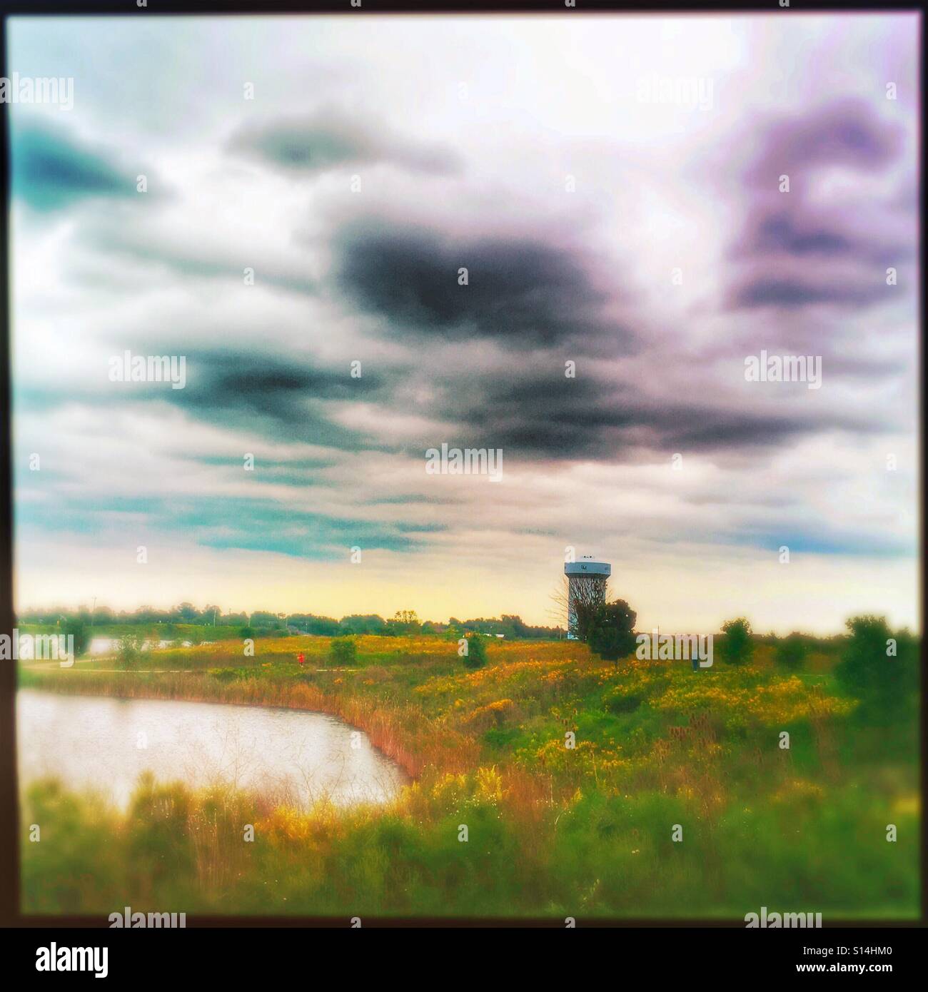 A park showing the beginning colors of autumn. - Smartphone Captured Stock Image