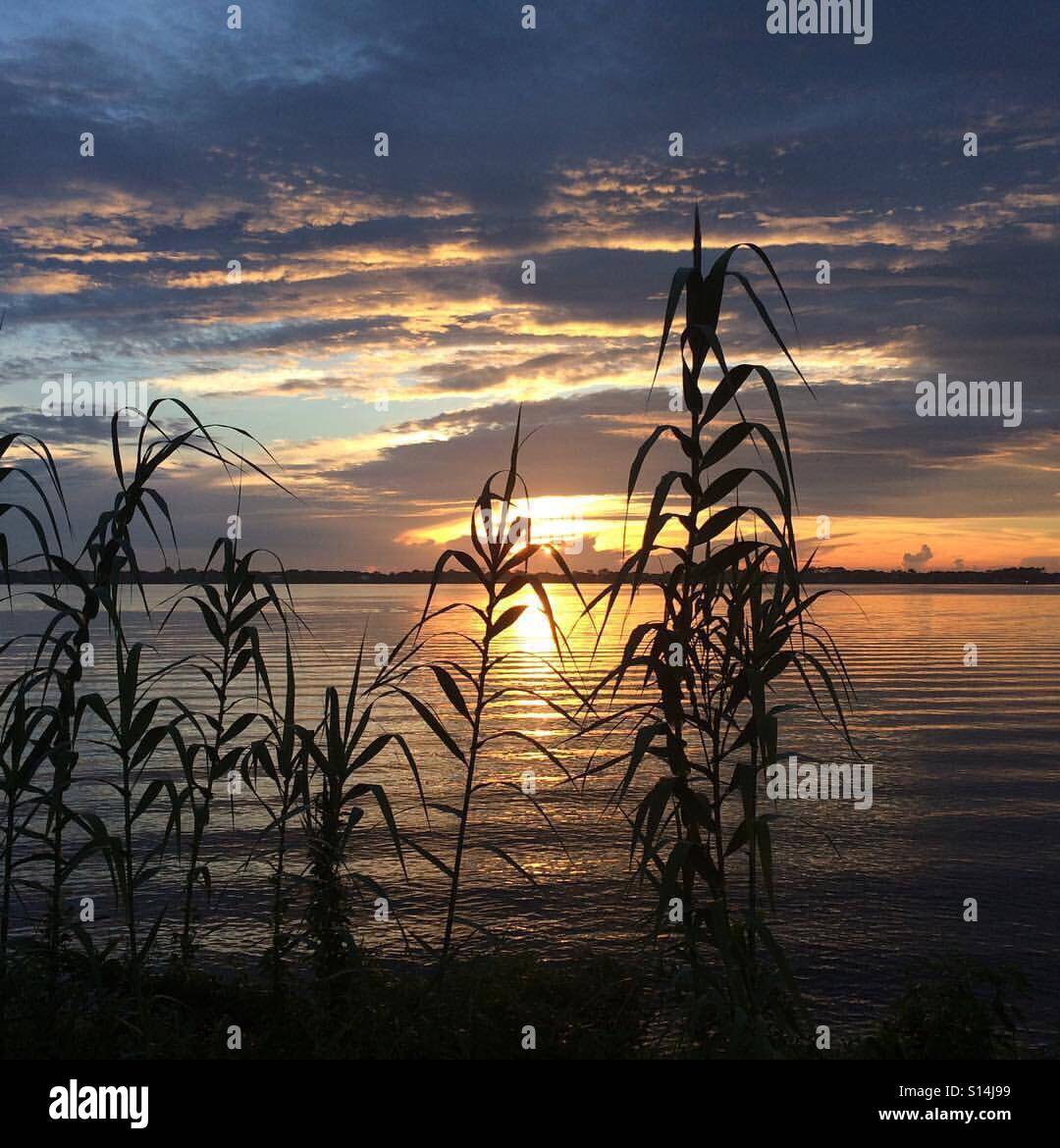 Sunrise after the rain Stock Photo Alamy