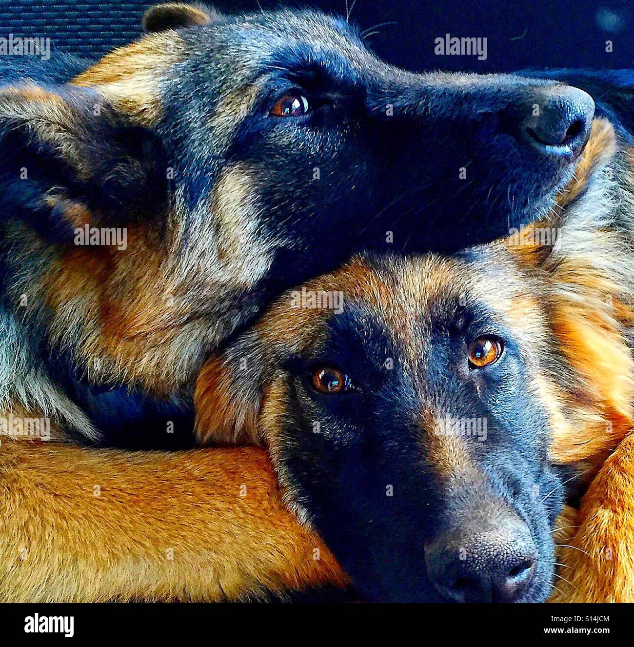 My Image 24