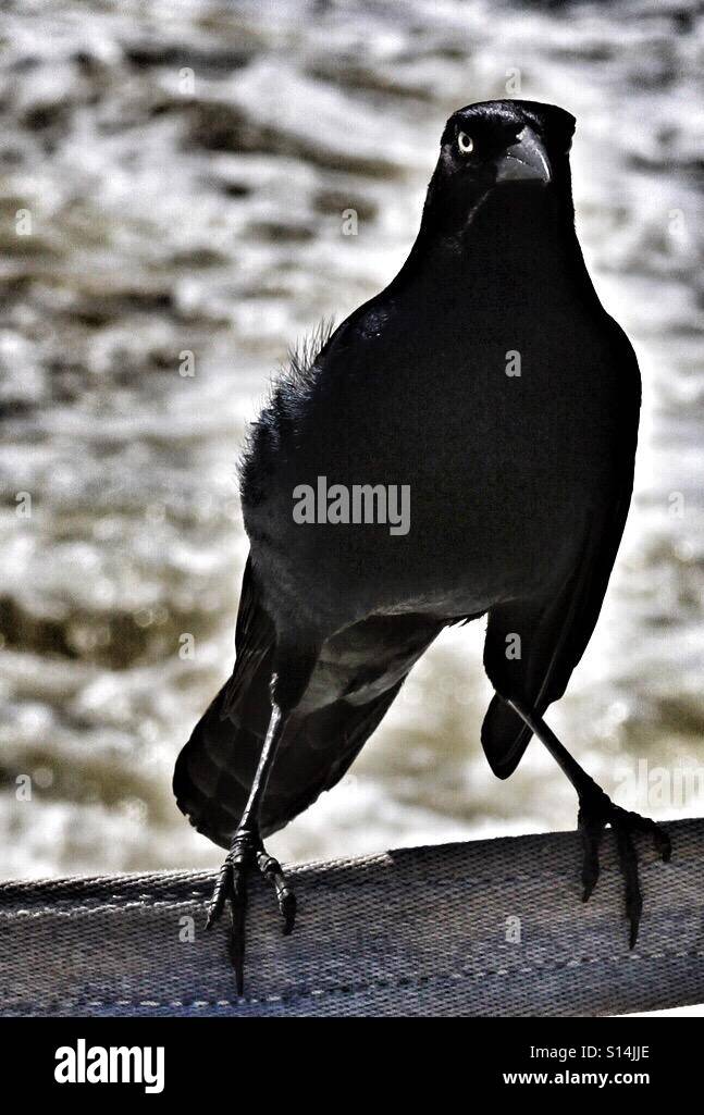 Fort Fisher Ferry Hi res Stock Photography And Images Alamy fort-fisher-ferry-hi-res-stock-photography-and-images-alamy