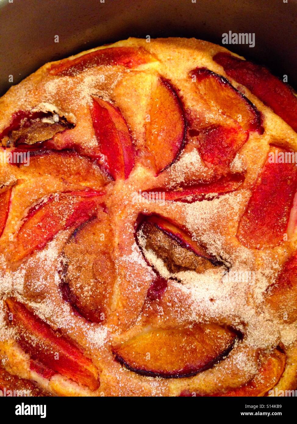 Peach and plum buckle - Smartphone Captured Stock Image