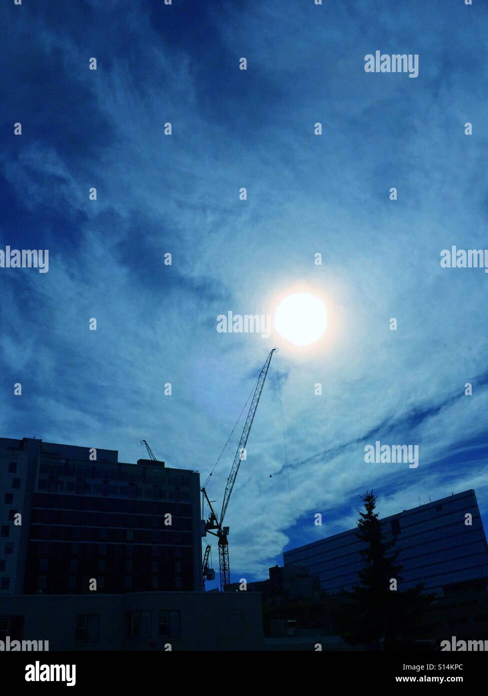 Construction crane pointing to the sun - Smartphone Captured Stock Image