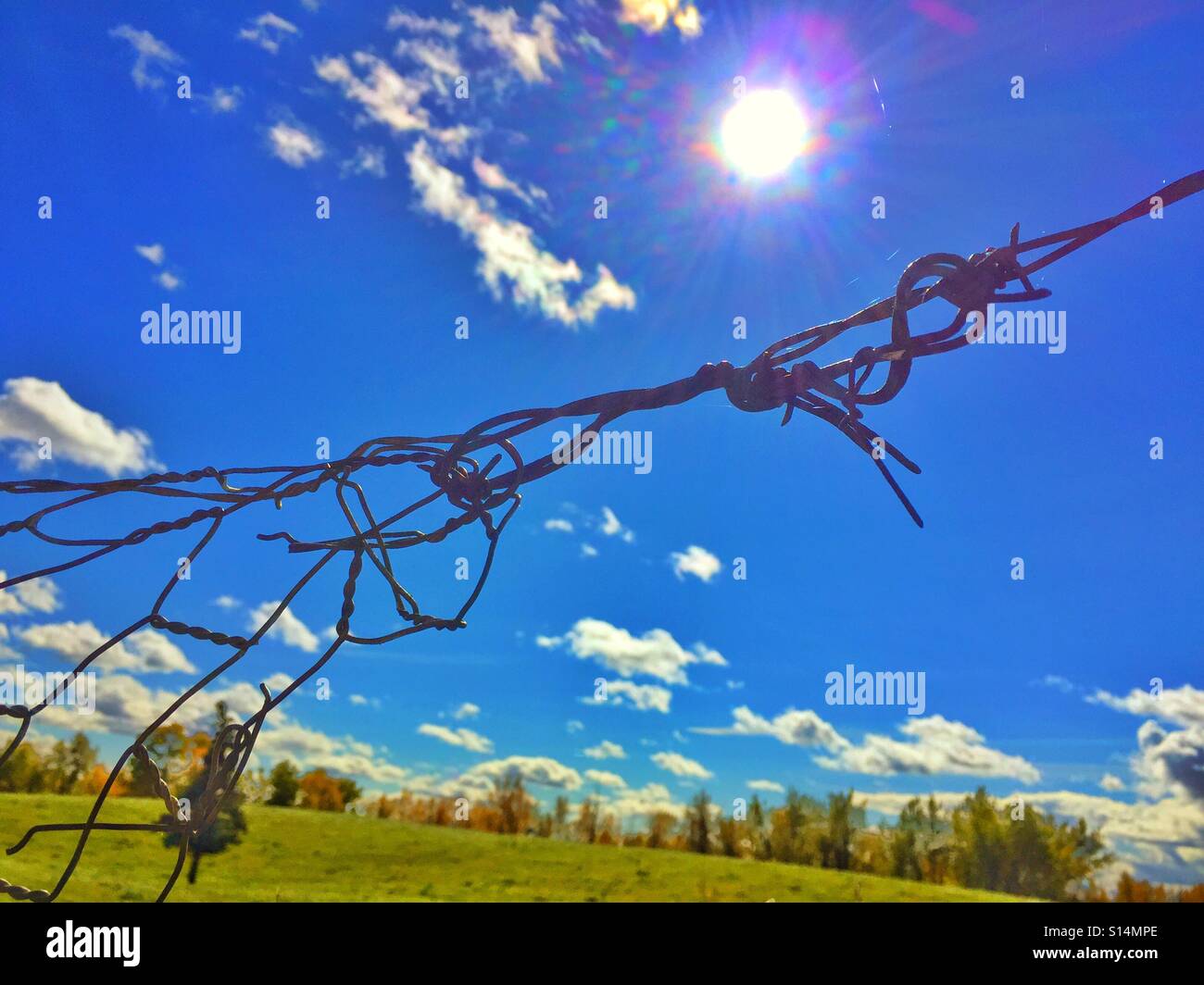 Barb wire and wire mesh tied together - Smartphone Captured Stock Image