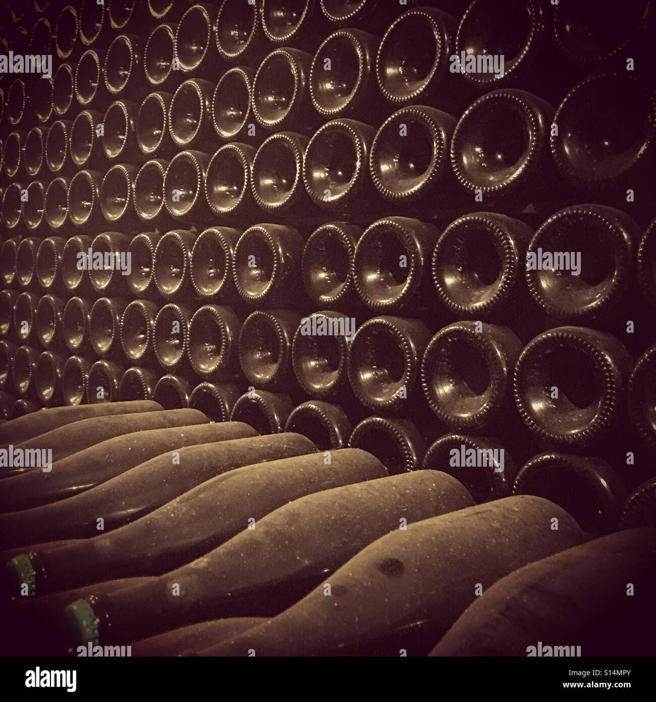 Champagne cellar Stock Photo