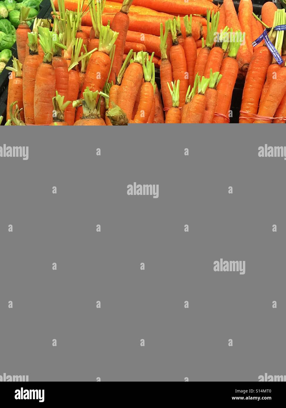 Carrot box - Smartphone Captured Stock Image
