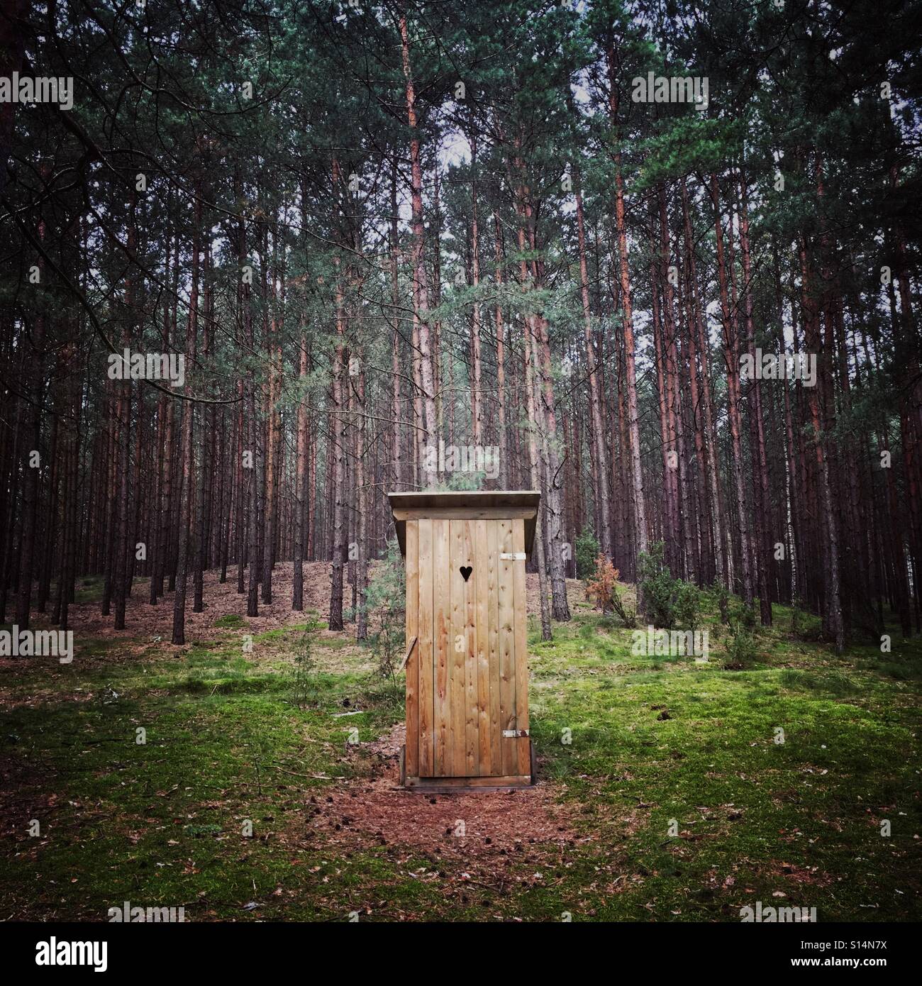 Wooden privy in forest, Poland Stock Photo