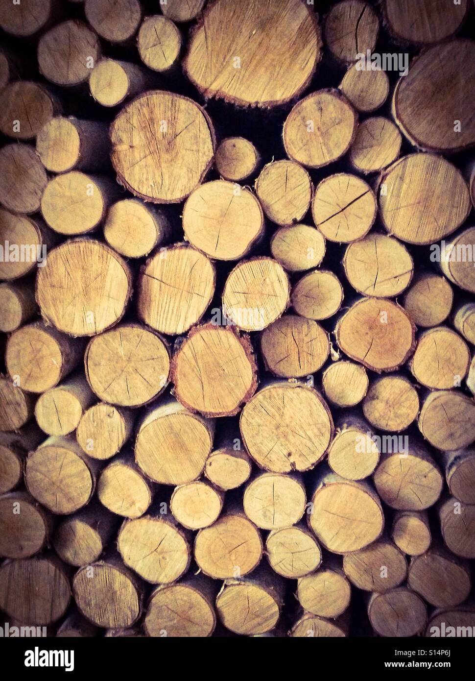 Firewood stacked for winter - Smartphone Captured Stock Image