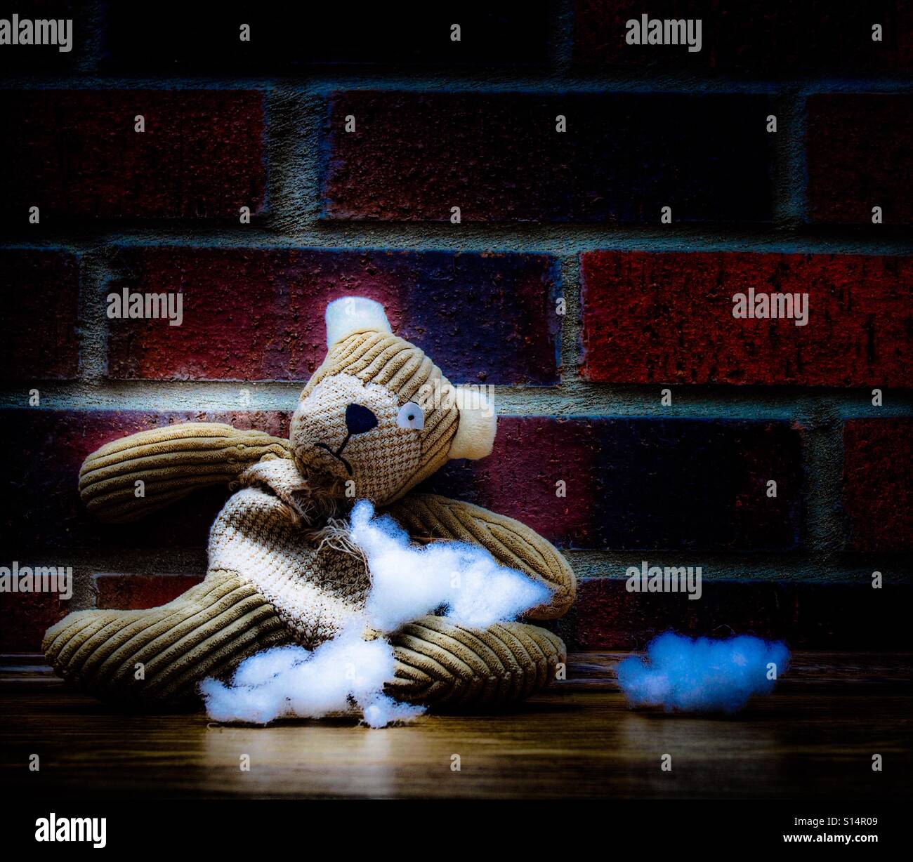 A sad and abandoned teddy bear with stuffing and filling falling from a hole in his tummy and sitting against a brick wall. - Smartphone Captured Stock Image