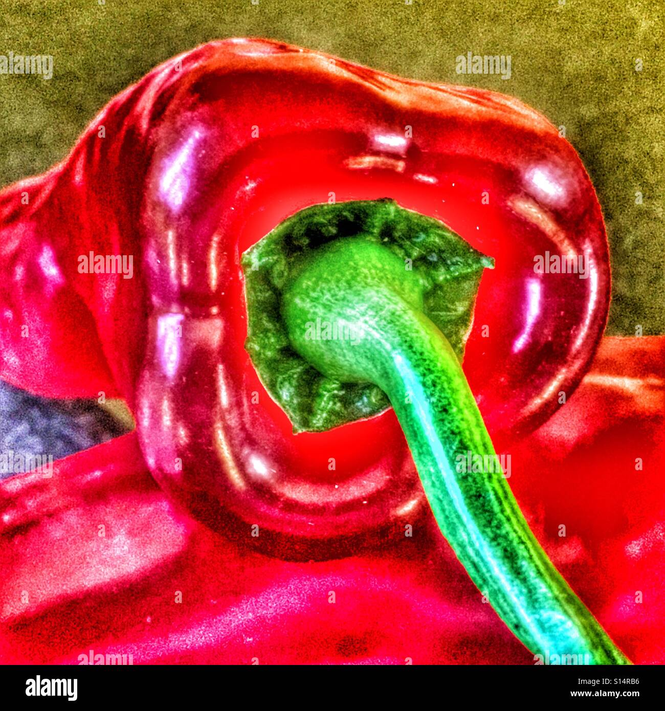 Red peppers - Smartphone Captured Stock Image