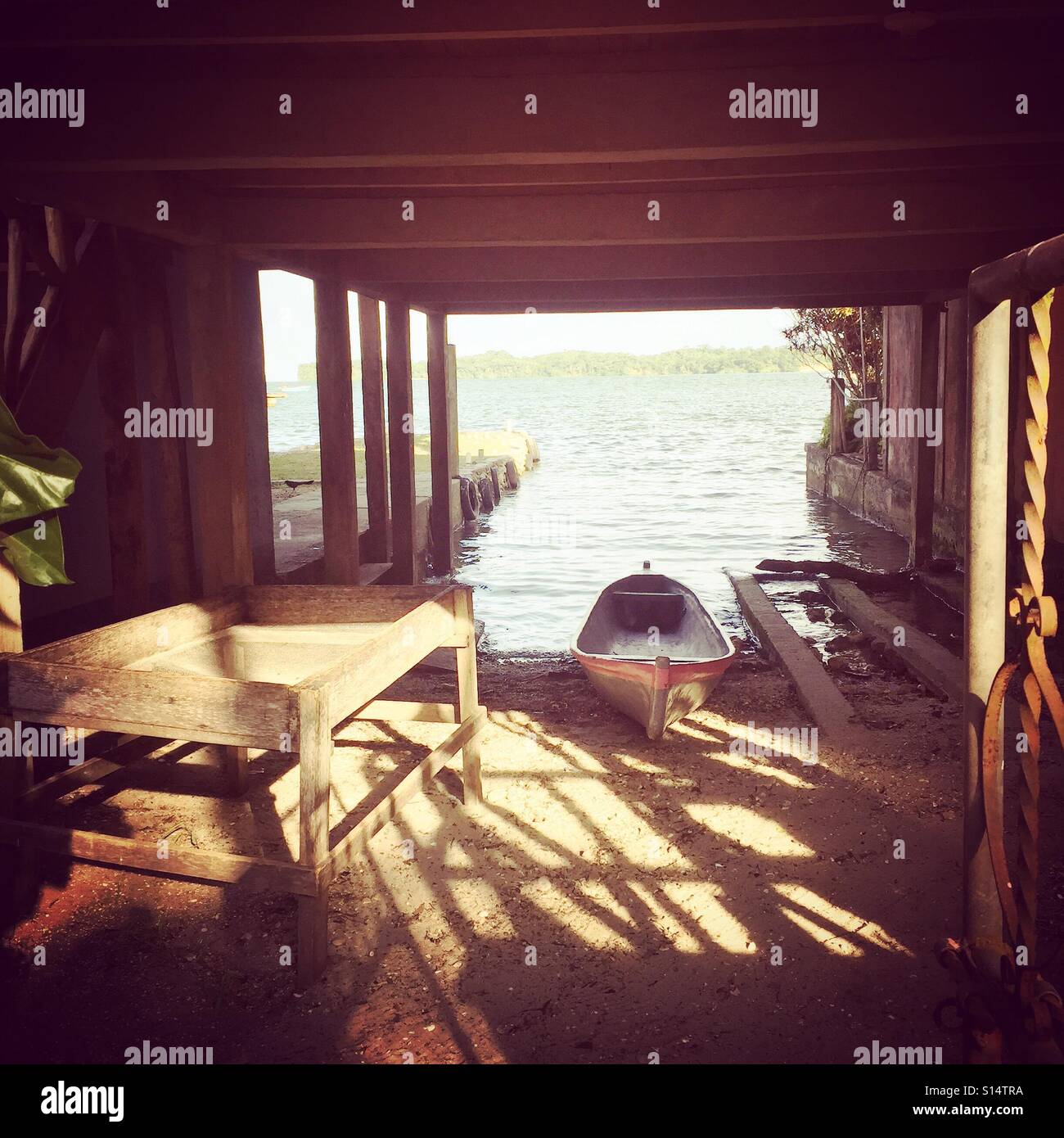 Late afternoon light on riverbank, Rio Dulce, Livingston, Guatemala Stock Photo