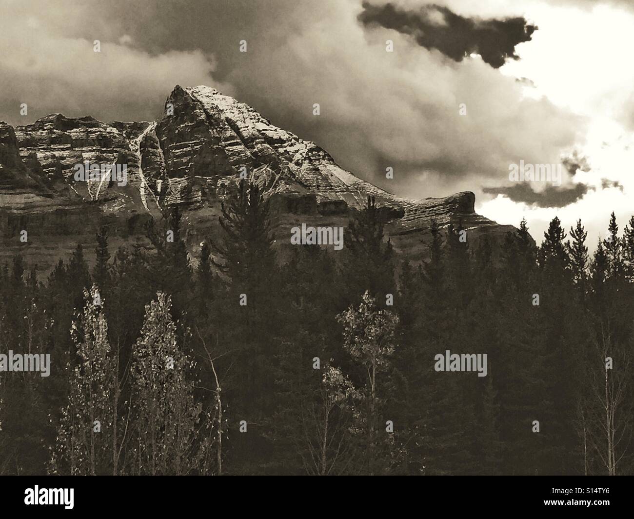 Canadian Rocky Mountains in black and white - Smartphone Captured Stock Image