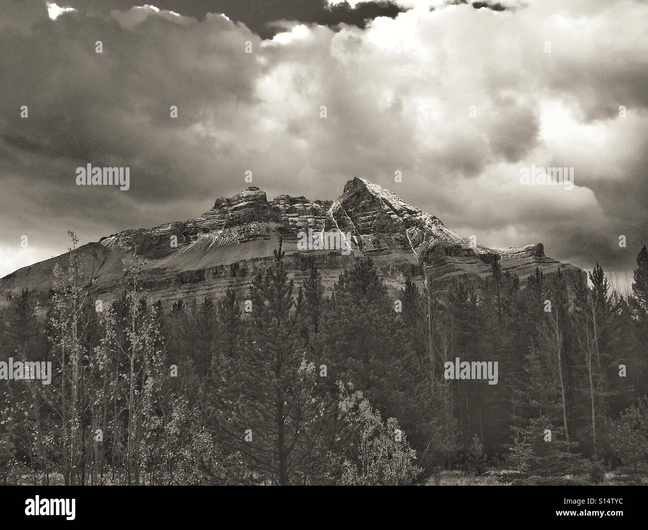 Canadian Rocky Mountains in black and white - Smartphone Captured Stock Image