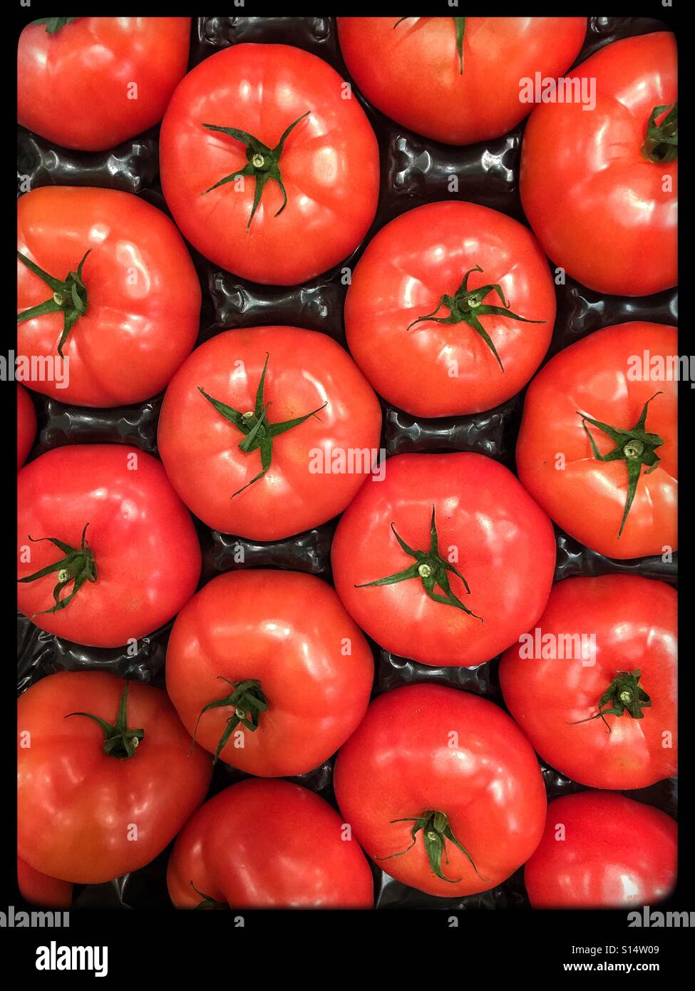 Juicy red tomatoes arranged in a black tray and forming a pattern - Smartphone Captured Stock Image