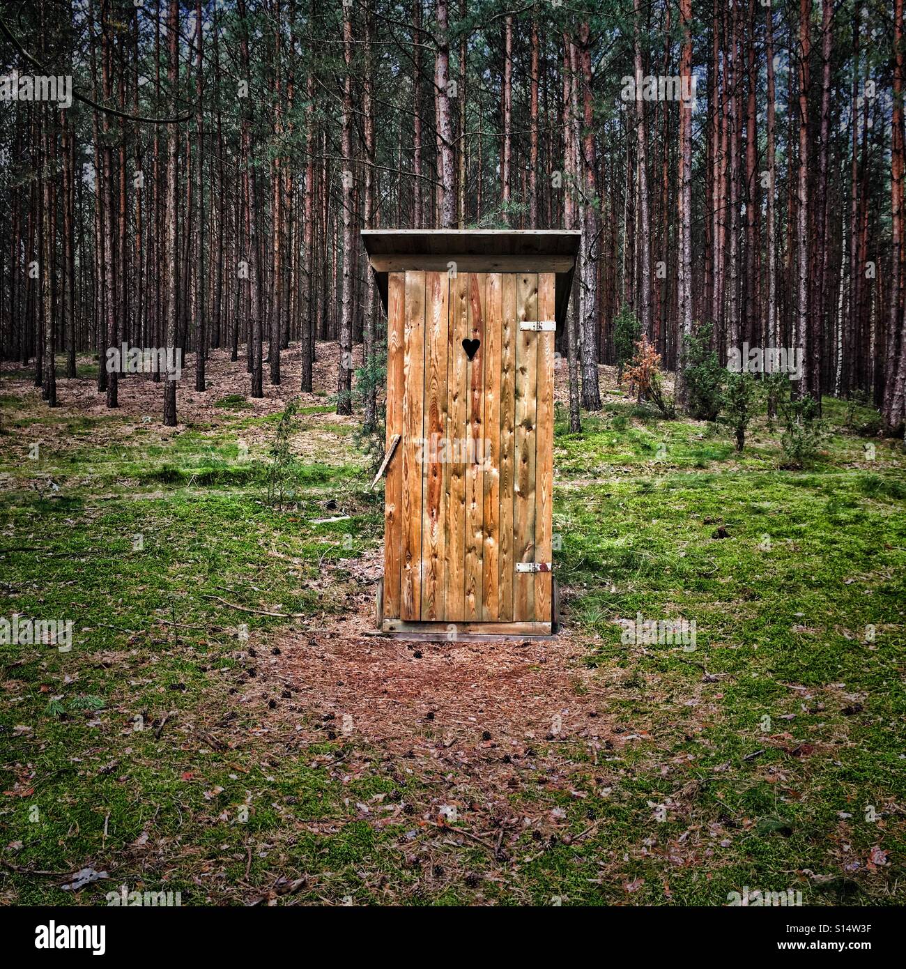 Wooden privy in forest Stock Photo