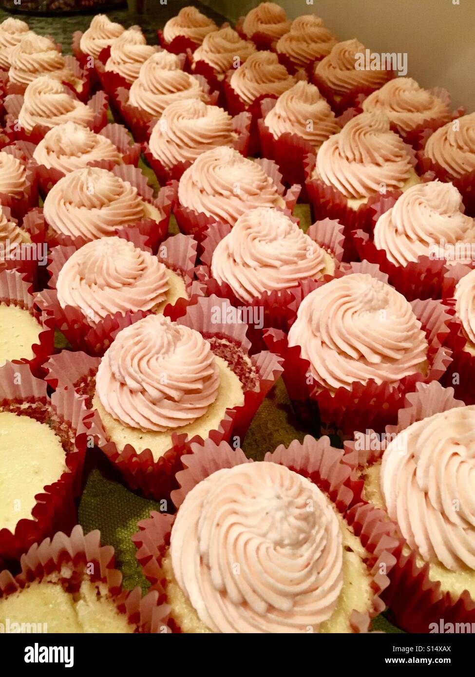 Cup cakes lots of them - Smartphone Captured Stock Image