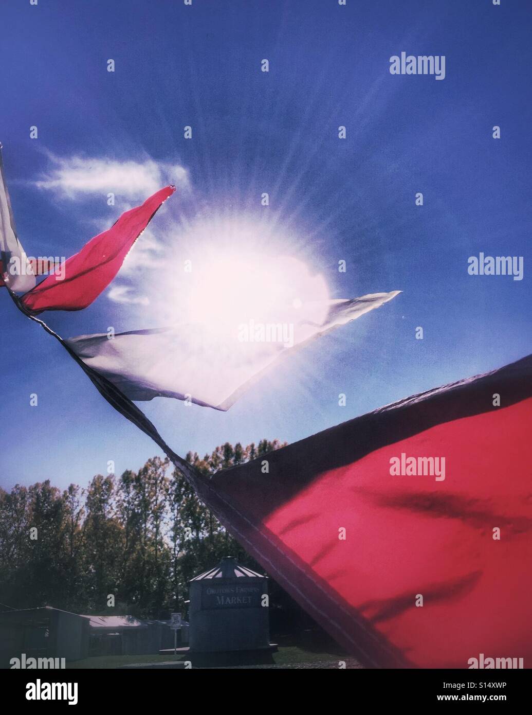 Pennants flying in the wind over an empty farmers market. - Smartphone Captured Stock Image Pennants flying in the wind over an empty farmers market. - Smartphone Captured Stock Image