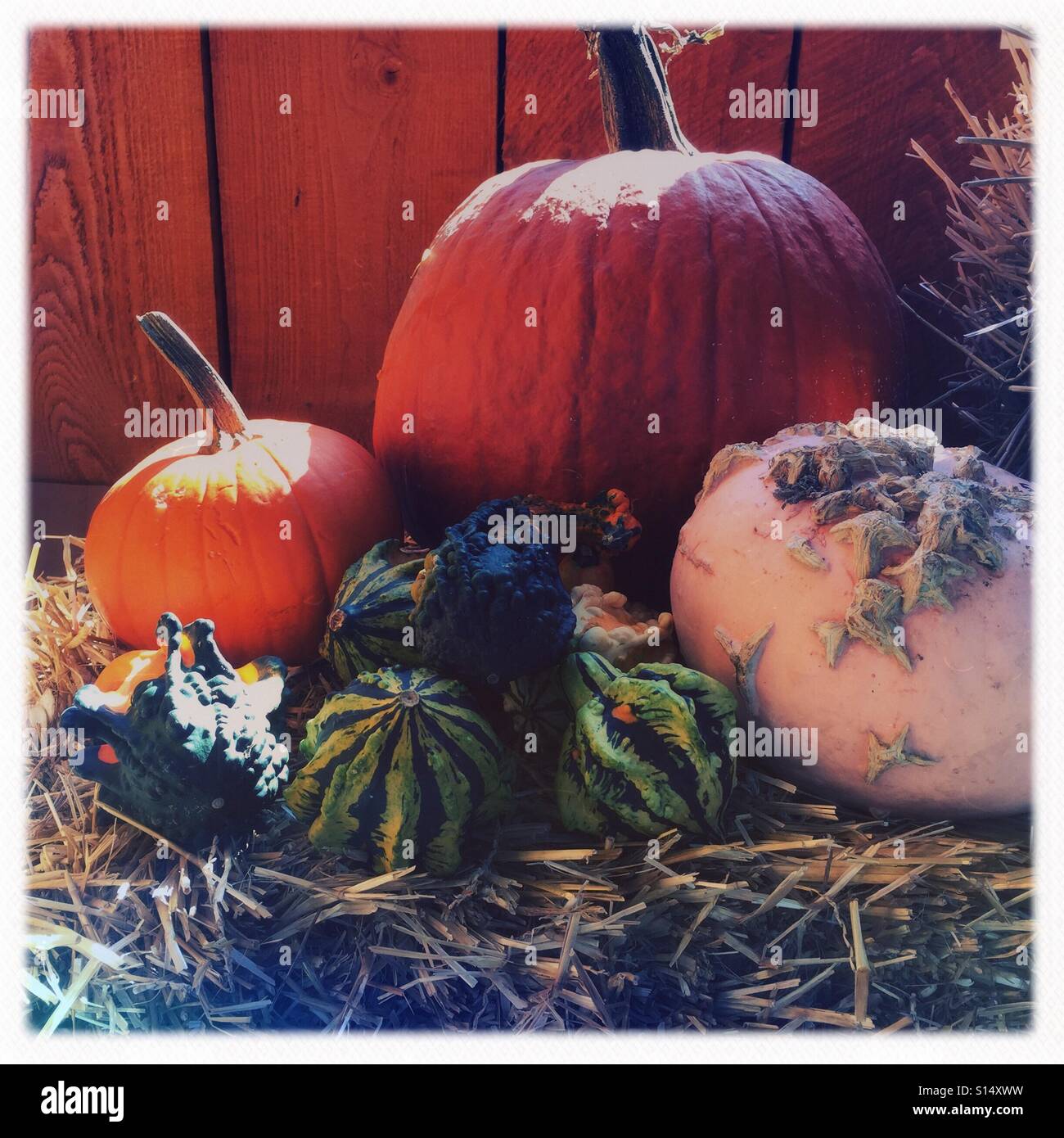 October - Smartphone Captured Stock Image