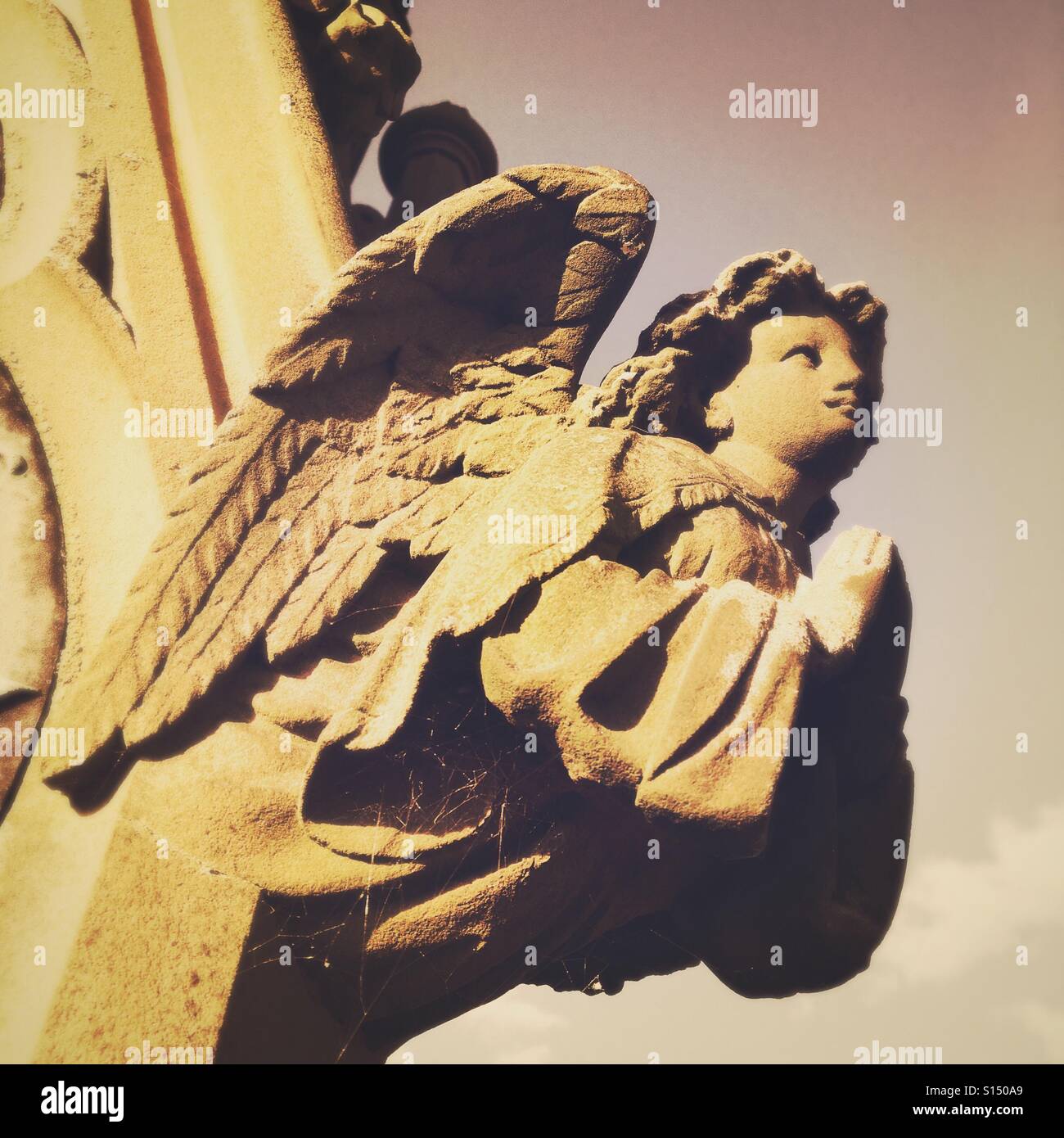 Angel on gravestone Stock Photo Alamy