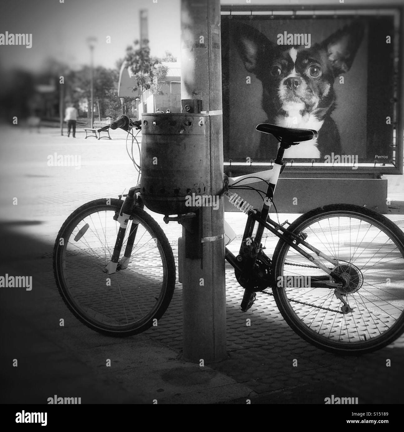 Doggone bike! Bicycle secured to post with litter bin attached with poster of dog in the background, in black and white. - Smartphone Captured Stock Image
