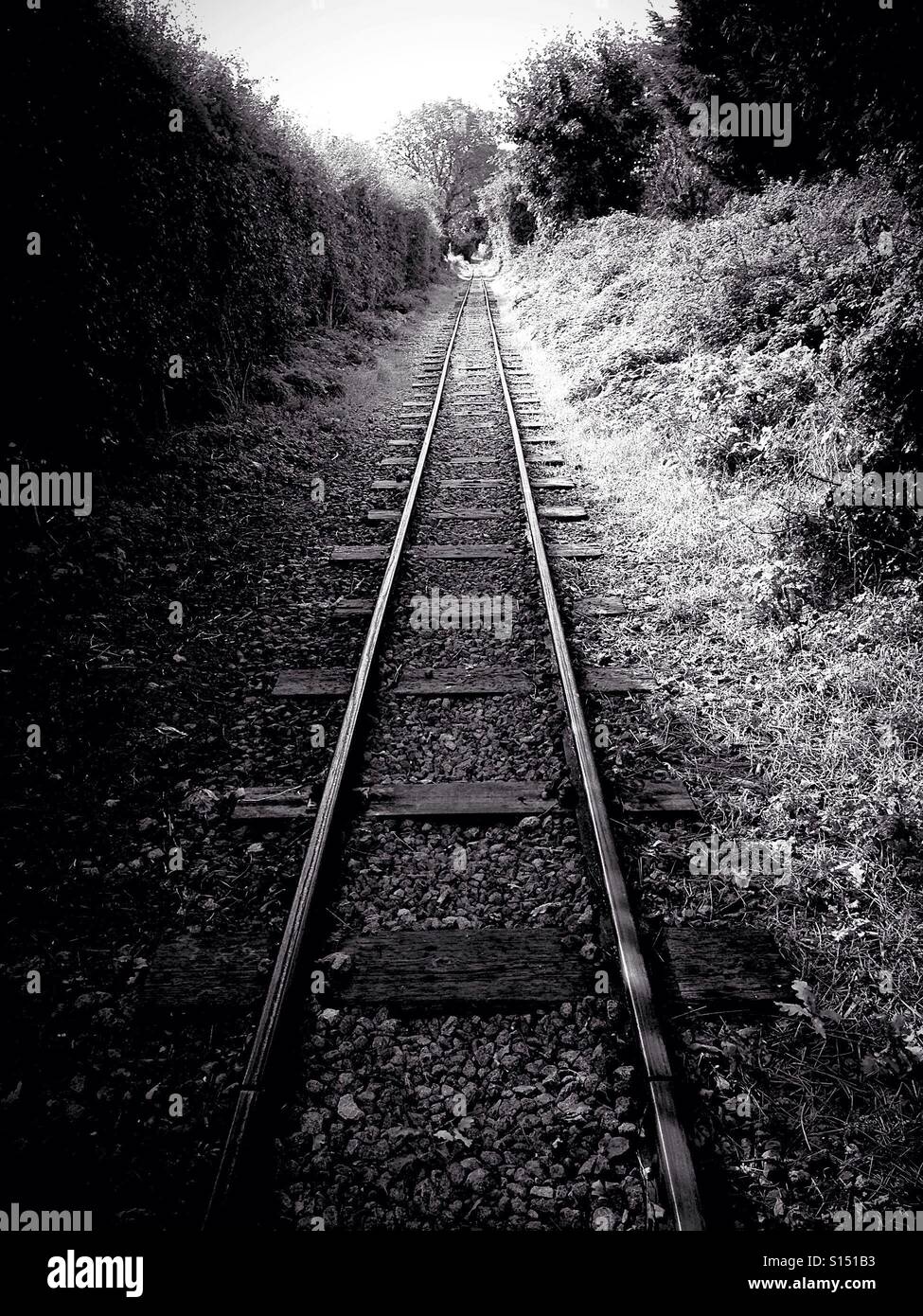 Railway track narrow gauge Stock Photo Alamy