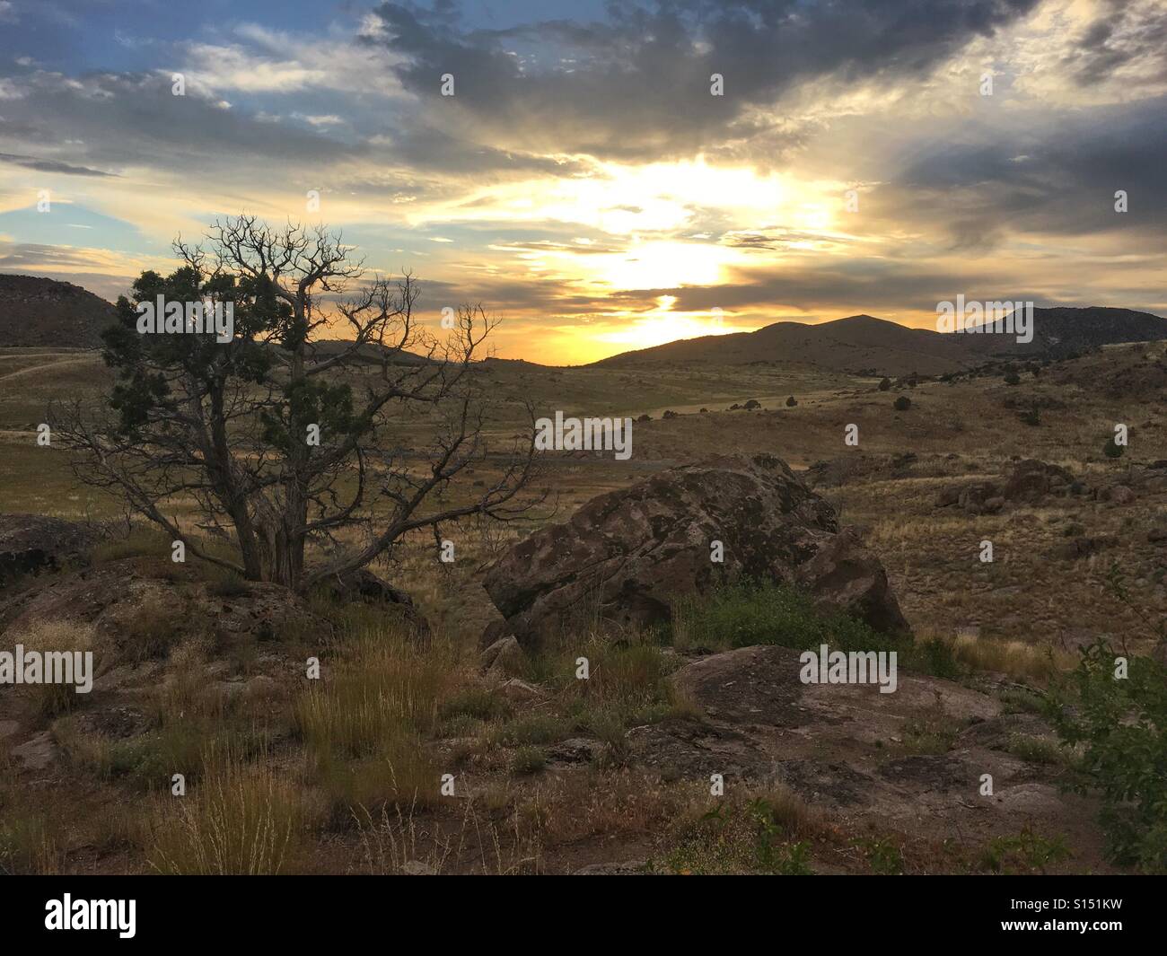 The vast openness and a lonesome tree in Utah's west desert. Stock Photo