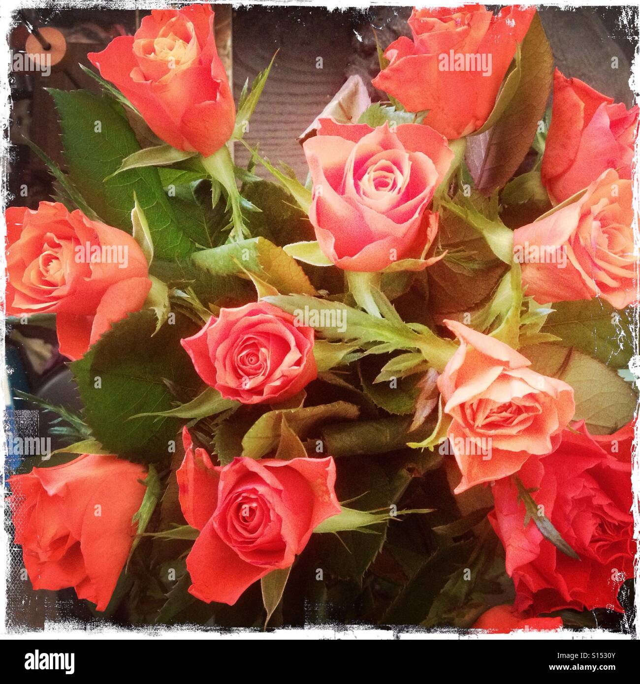 A bunch of roses Stock Photo Alamy