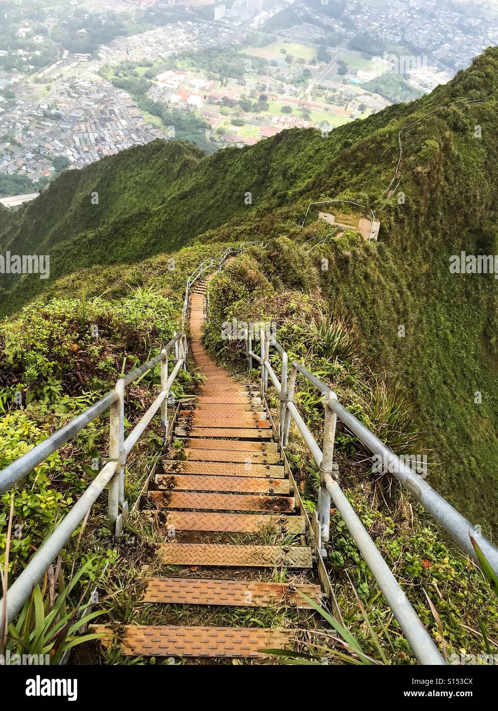 Haiku stairs, Hawaii Stock Photo