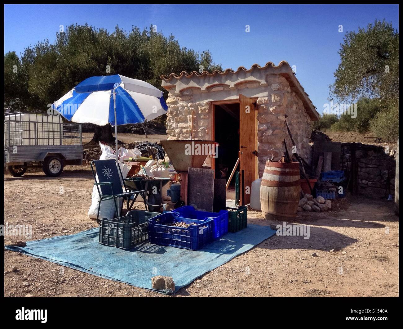 Almond triage (de-husking), Catalonia, Spain. - Smartphone Captured Stock Image