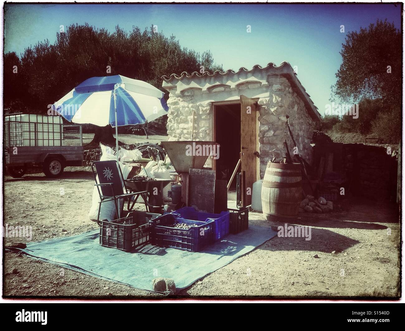 Almond triage (de-husking), Catalonia, Spain. - Smartphone Captured Stock Image