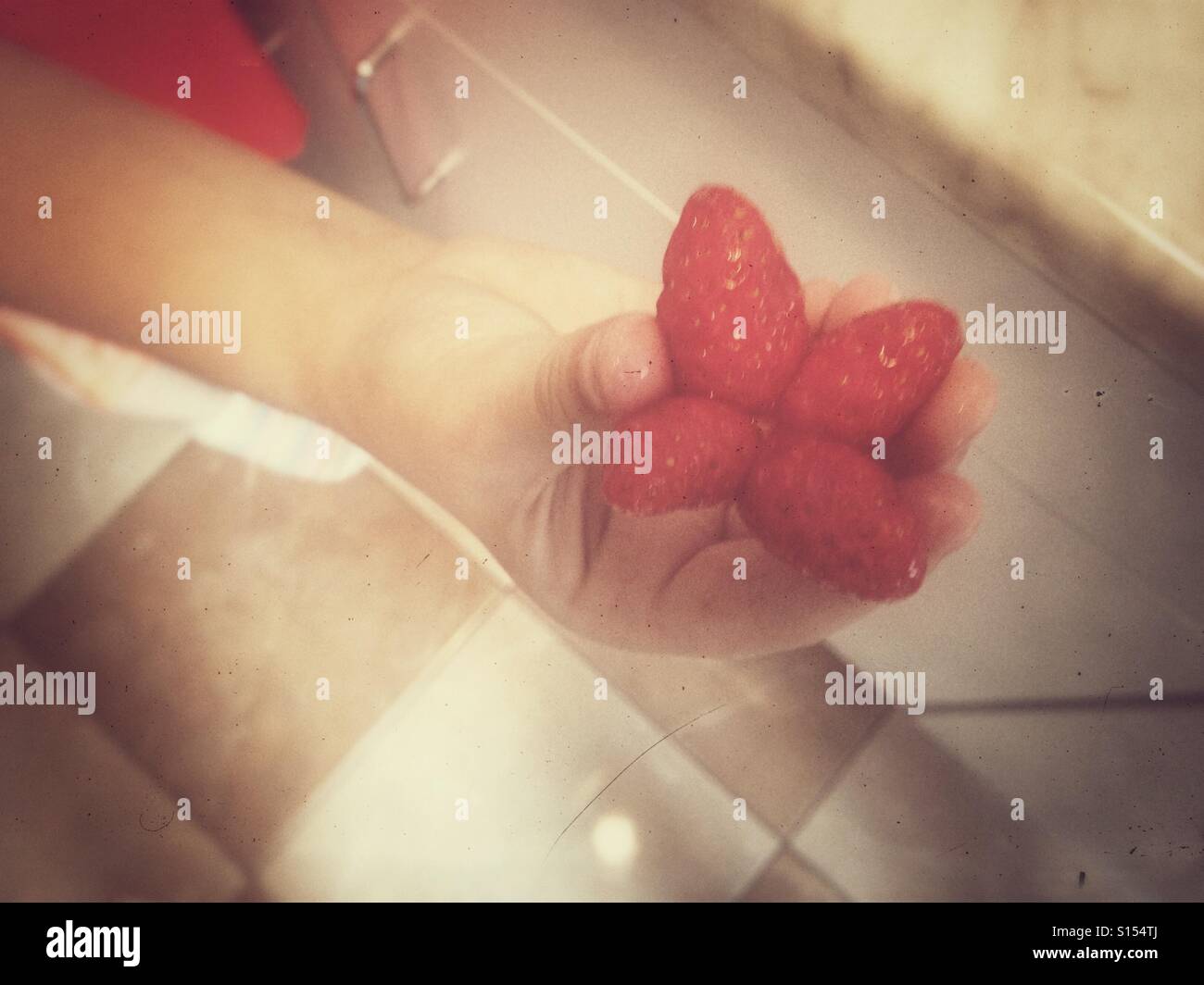 Little girl's hand holding strawberries. Stock Photo