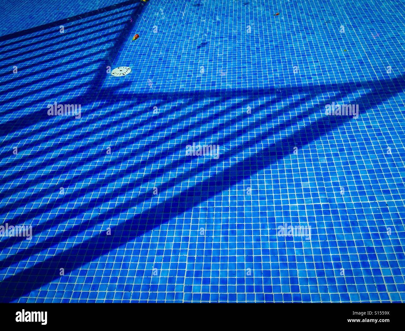 Shadows in the shallow end - Smartphone Captured Stock Image