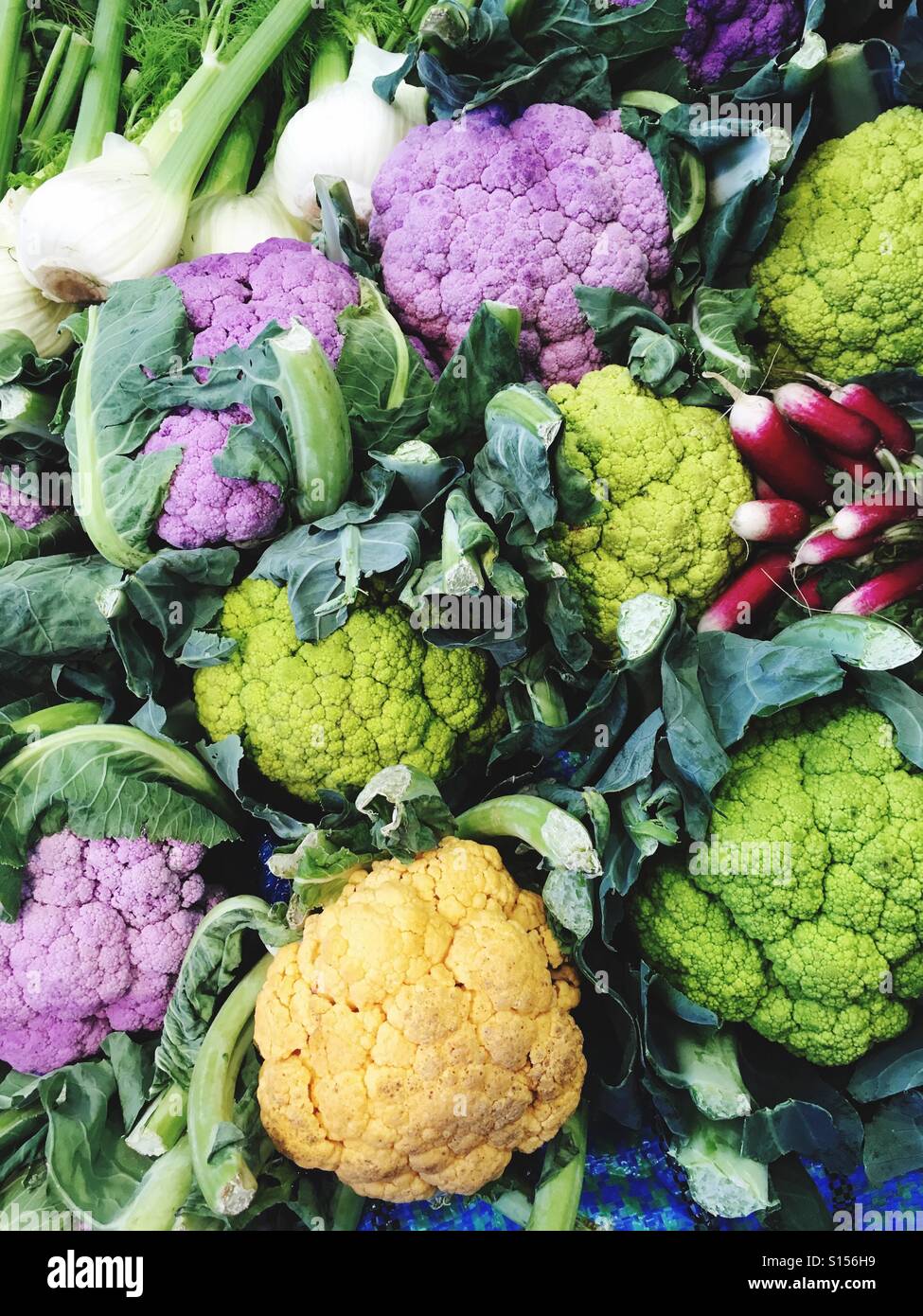 Cauliflowers hi-res stock photography and images - Alamy