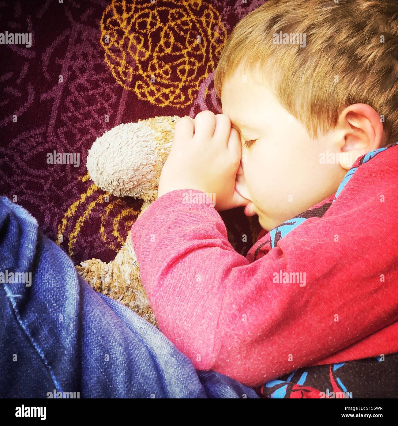 Fast asleep - Smartphone Captured Stock Image