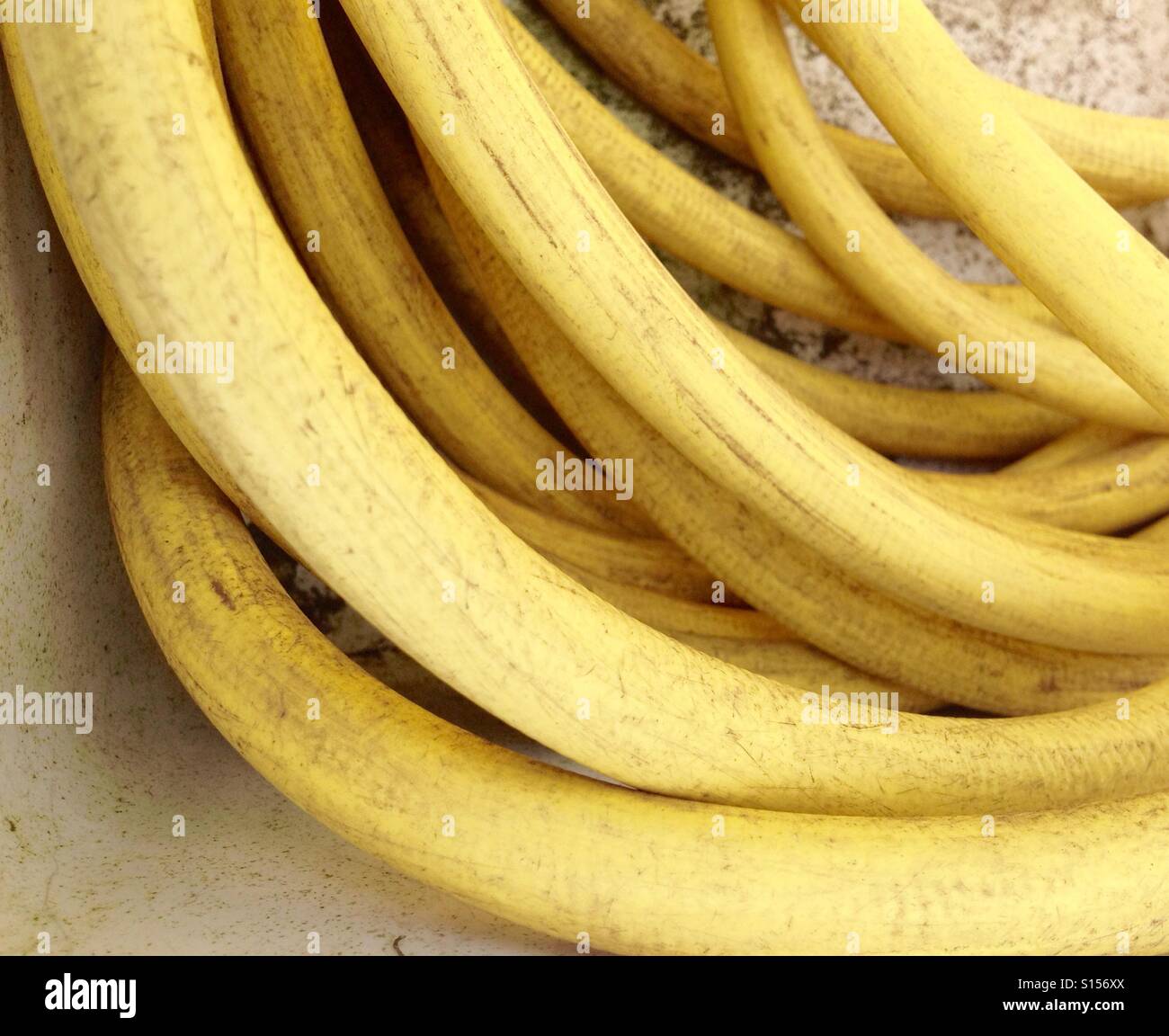 Hose pipe - Smartphone Captured Stock Image