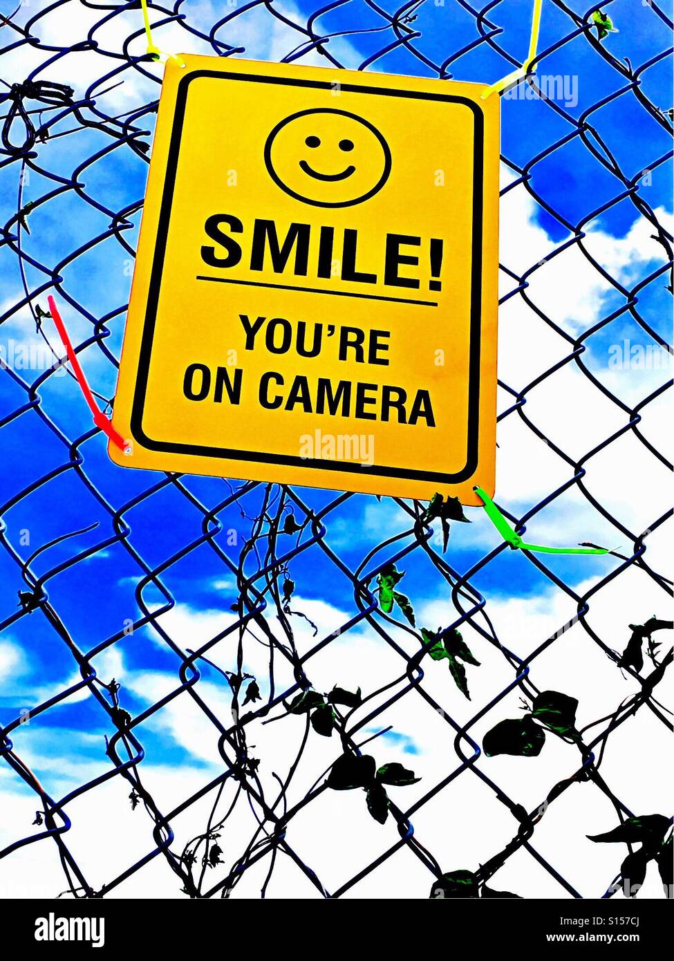 Smile. You're on camera - Smartphone Captured Stock Image