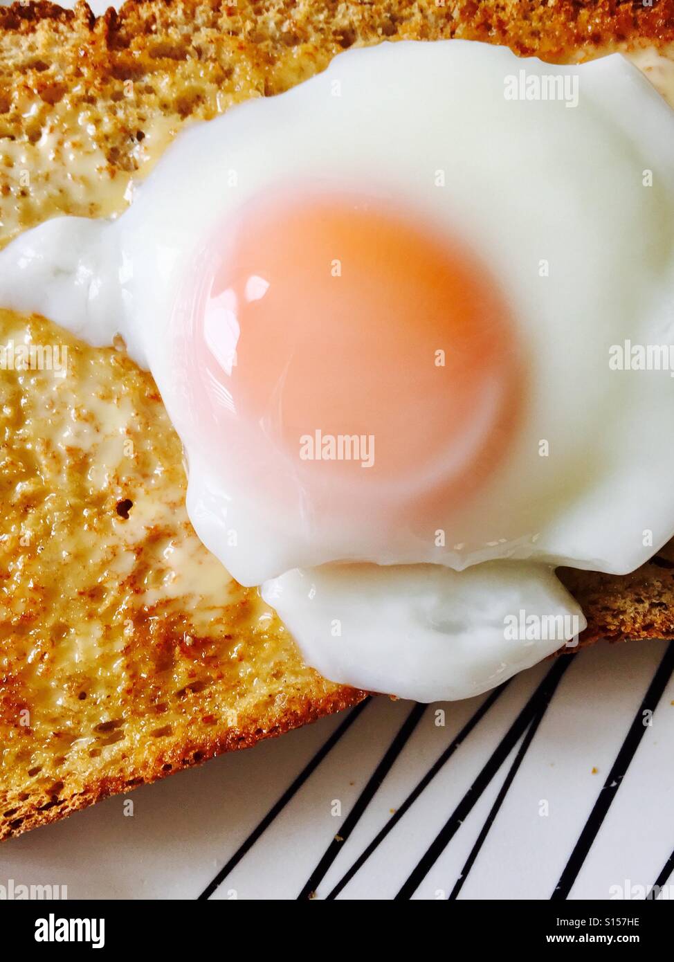 Poached egg on brown toast Stock Photo