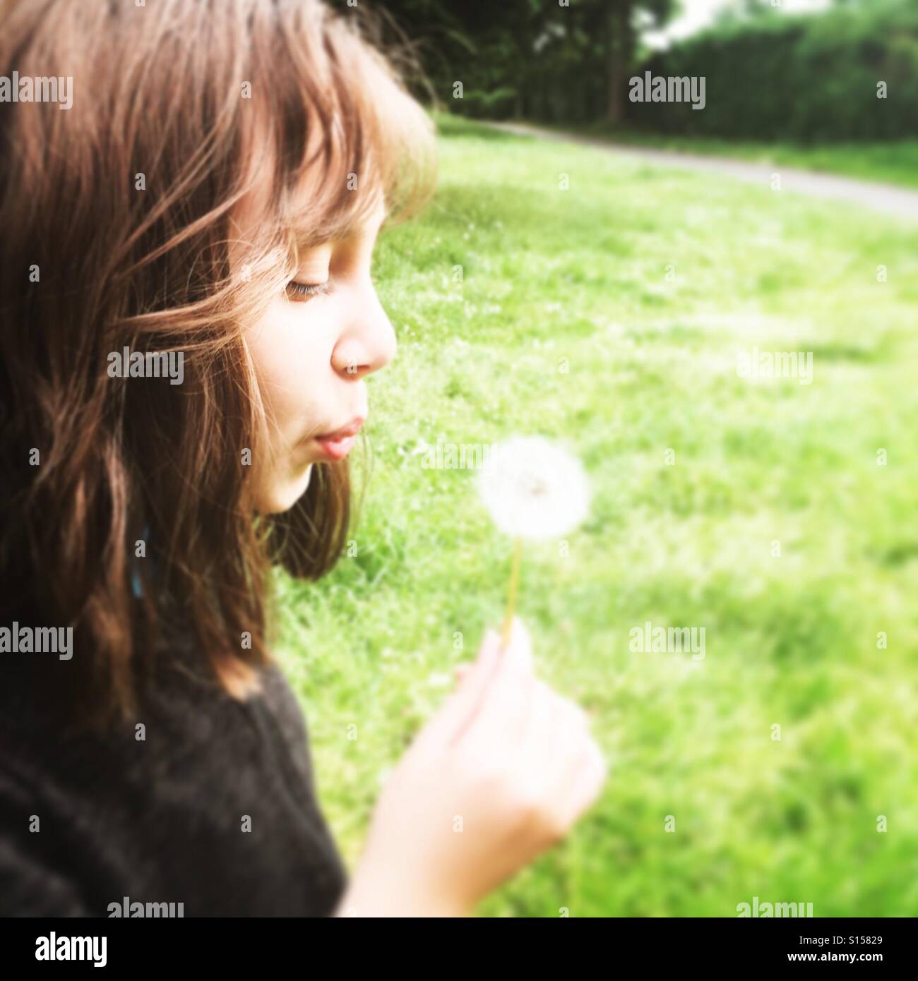 Make a wish Stock Photo - Alamy