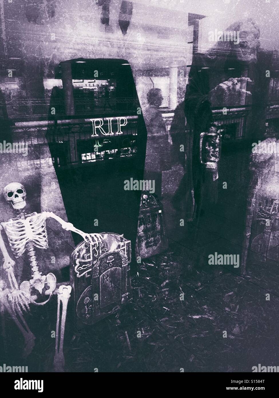 Hallowe'en skeleton, coffin and ghoul - Smartphone Captured Stock Image