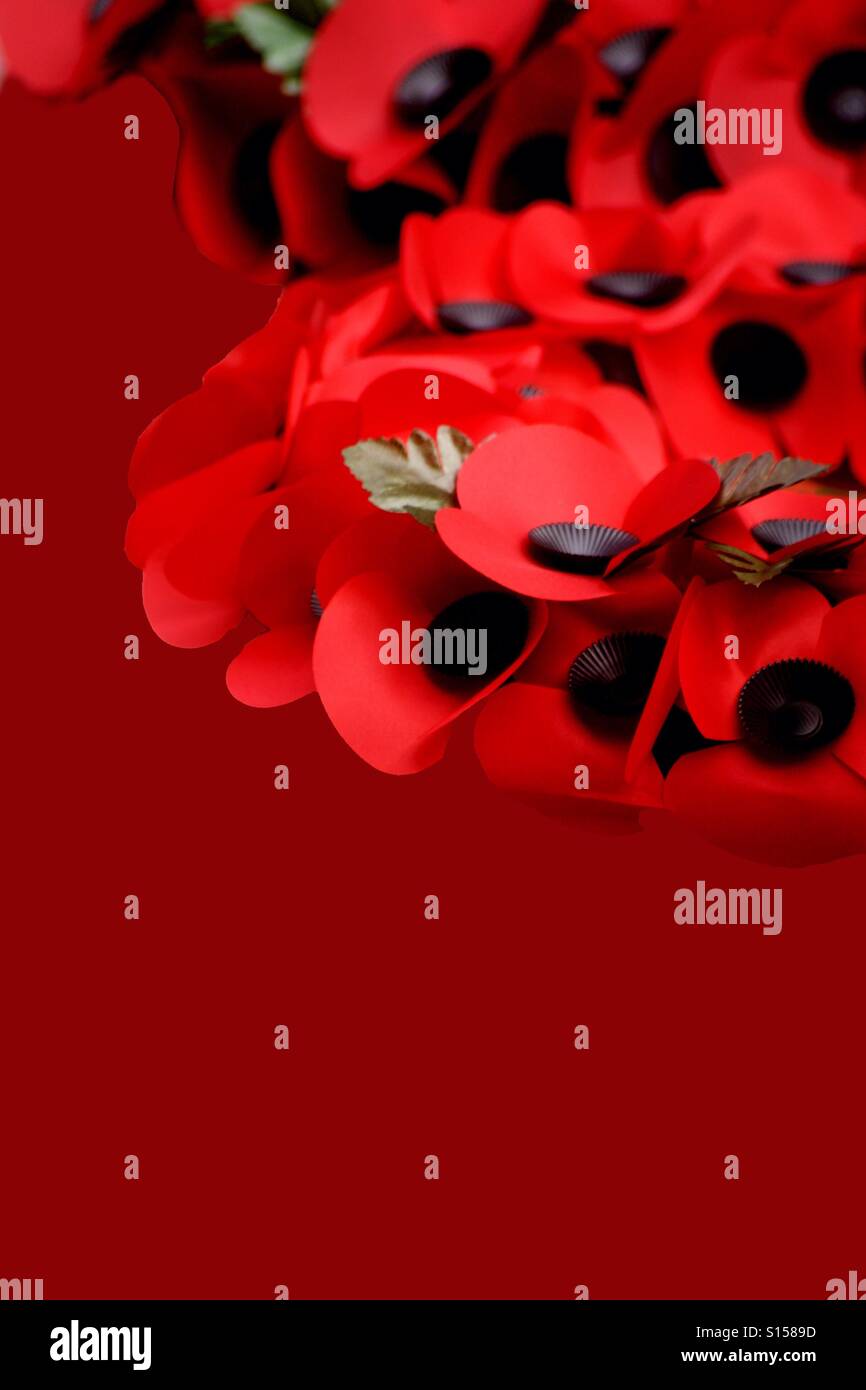 Abstract poppy hi-res stock photography and images - Alamy