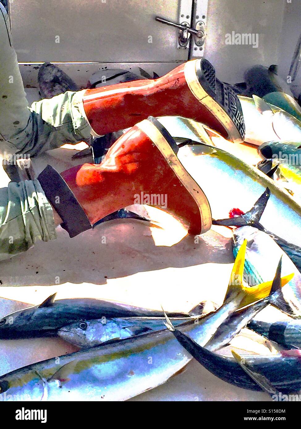 A crew member on a fishing boat, on his hand and knees, crawling around