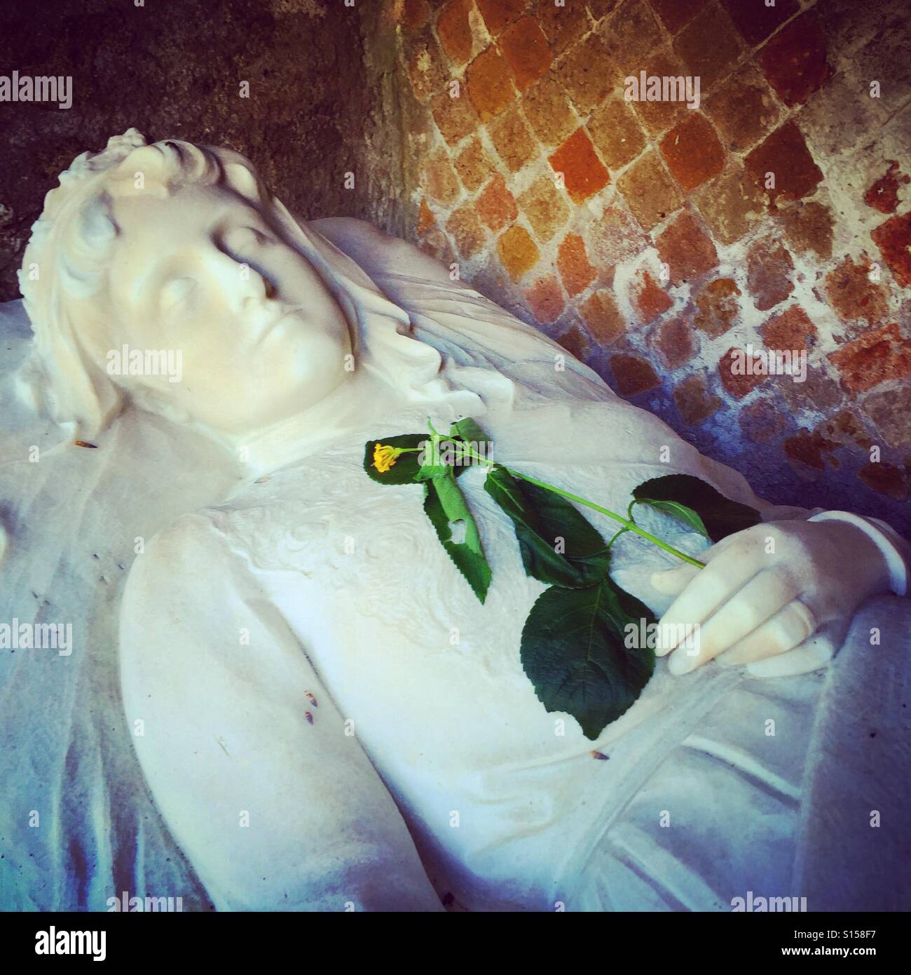 Statue of woman with yellow rose at cemetery, Rome, Italy - Smartphone Captured Stock Image