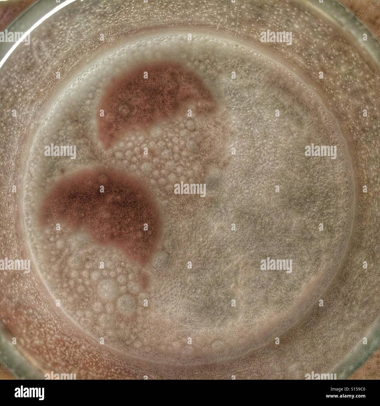 Abstract medication. Soluble tablets dissolving in a glass of water. - Smartphone Captured Stock Image