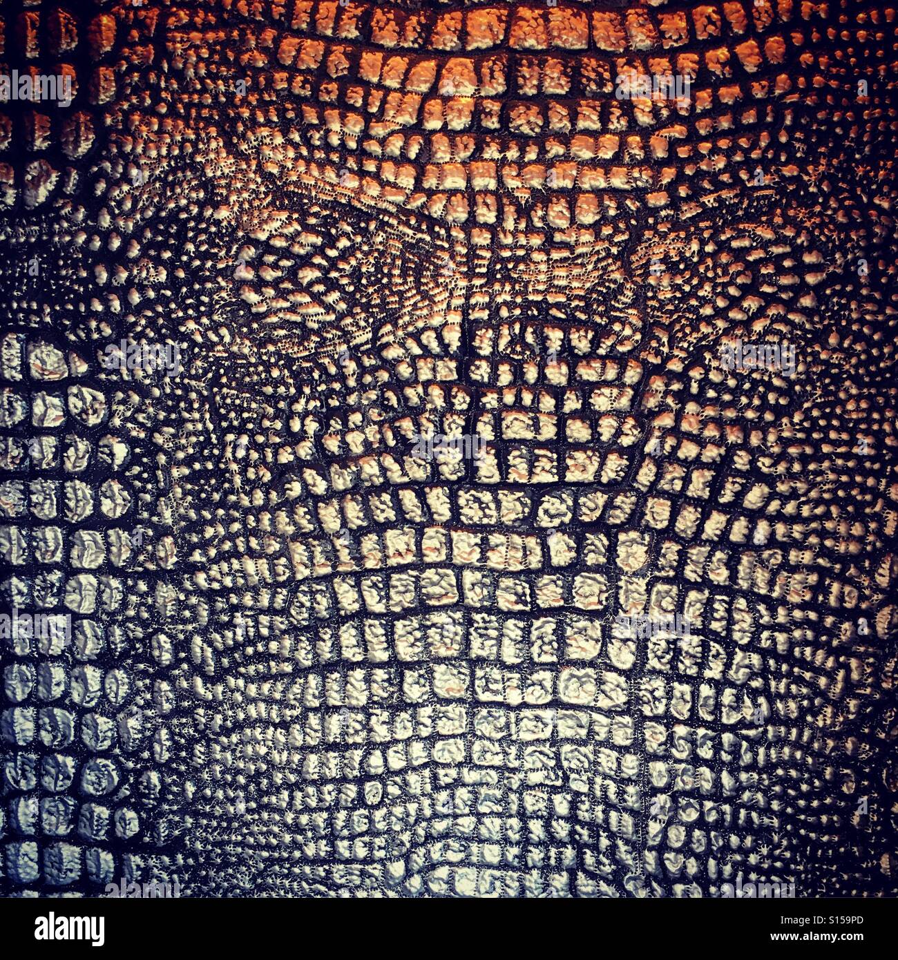 crocodile skin pattern in metal as decor decoraton animal skin alligator gator reptile full screen wallpaper close up textured background - Smartphone Captured Stock Image