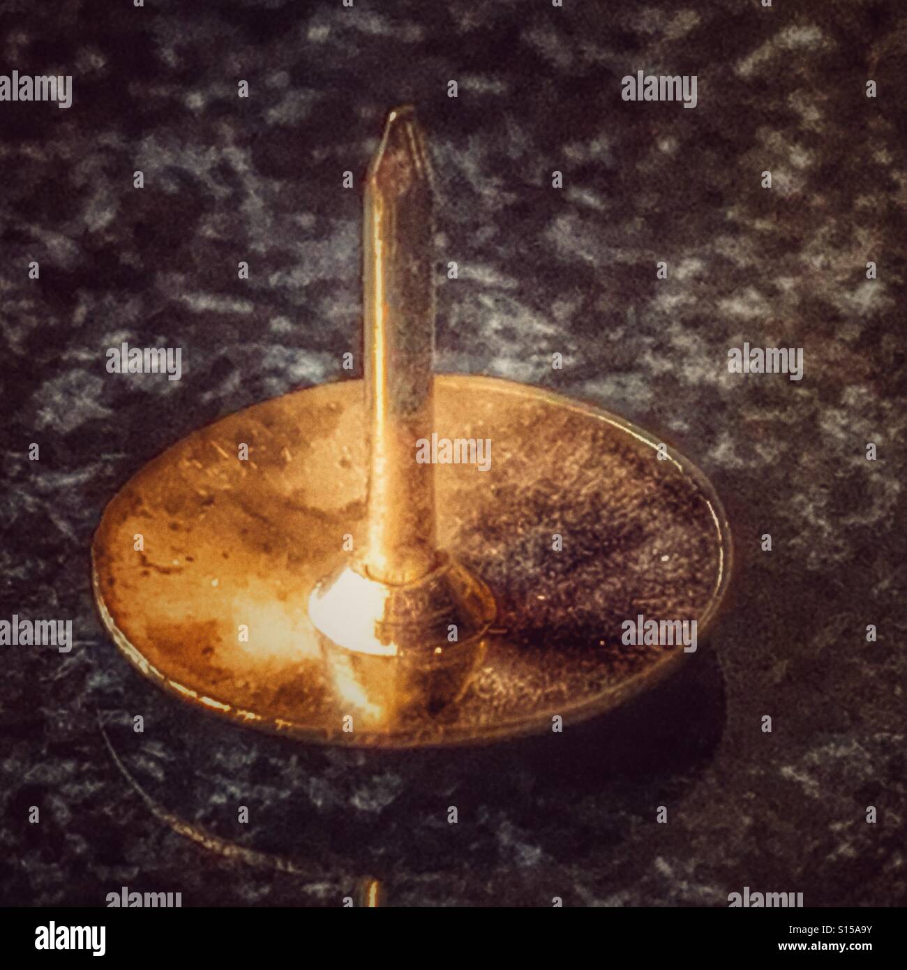 Brass drawing pin - Smartphone Captured Stock Image